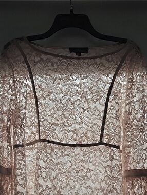Suzanne Betro Sheer Lace Blouse in Light Pink